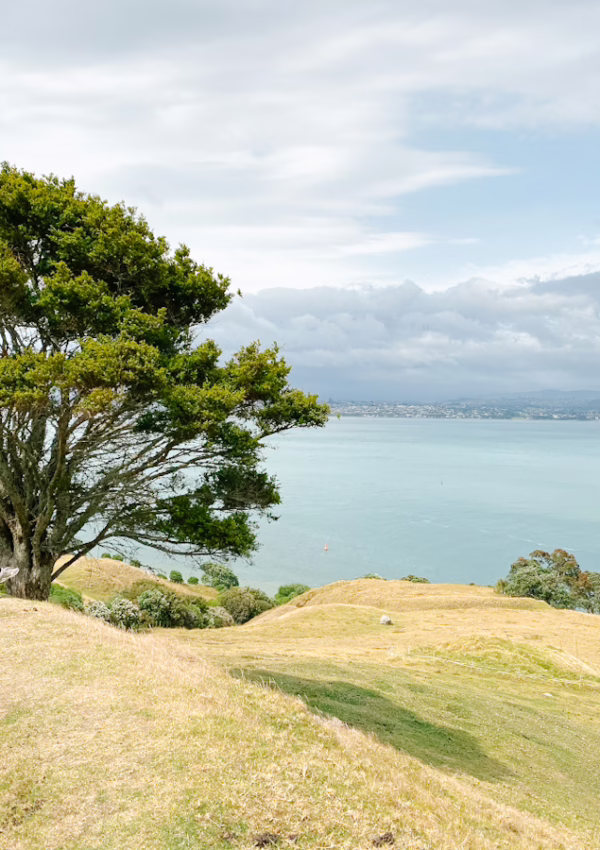 The Ultimate Family Travel Guide to New Zealand: Adventure, Culture & Kid-Friendly Fun